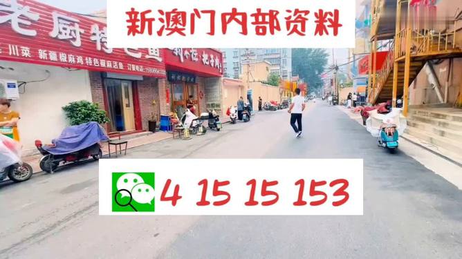 預(yù)測與分析，2025年澳門天天開好彩的未來展望，澳門彩票市場展望，預(yù)測與分析，2025年天天開好彩的未來趨勢