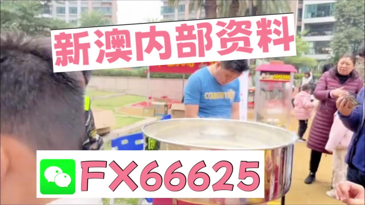 新奧2025正版資料大全，全面解析與深度探索，新奧2025正版資料大全，全面解析與深度探索揭秘