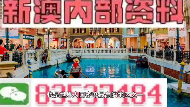 澳門王中王正版游戲，探索未來的新篇章（2025年展望），澳門王中王正版游戲，探索未來新篇章，展望2025年發(fā)展