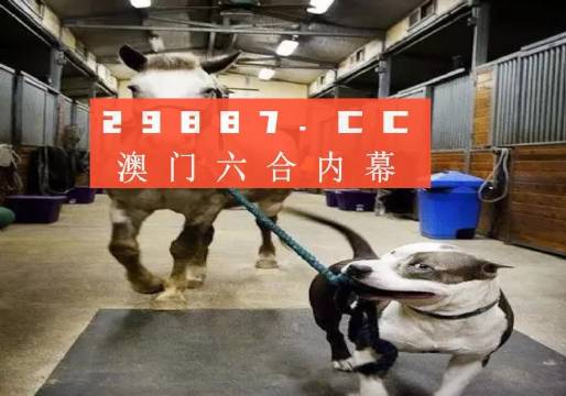 澳門(mén)一肖一碼一必中一肖，同舟前進(jìn)的奧秘與策略，澳門(mén)一肖一碼必中策略與前進(jìn)奧秘，同舟共濟(jì)的揭秘與策略