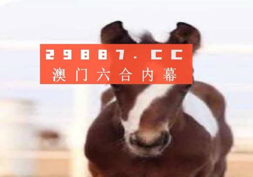 澳門一肖一碼一待一中資料，深度解析與探索，澳門一肖一碼深度解析與探索揭秘資料