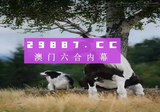 澳門天天空彩官網(wǎng)資料，探索彩票世界的門戶，澳門天天空彩官網(wǎng)資料，彩票世界探索門戶