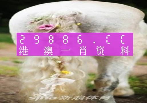 澳門(mén)羊了個(gè)羊與各大圖庫(kù)的資料揭秘，2023年澳門(mén)今晚必中一肖一碼永久免費(fèi)資料庫(kù)大解密，澳門(mén)羊了個(gè)羊與資料庫(kù)揭秘，2023年必中一肖一碼永久免費(fèi)資料大解密