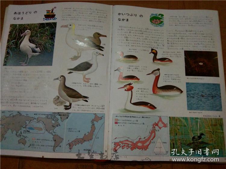 今日正版跑狗圖分享，探索7777788888跑狗圖的魅力，今日正版跑狗圖分享，探索魅力十足的777778跑狗圖