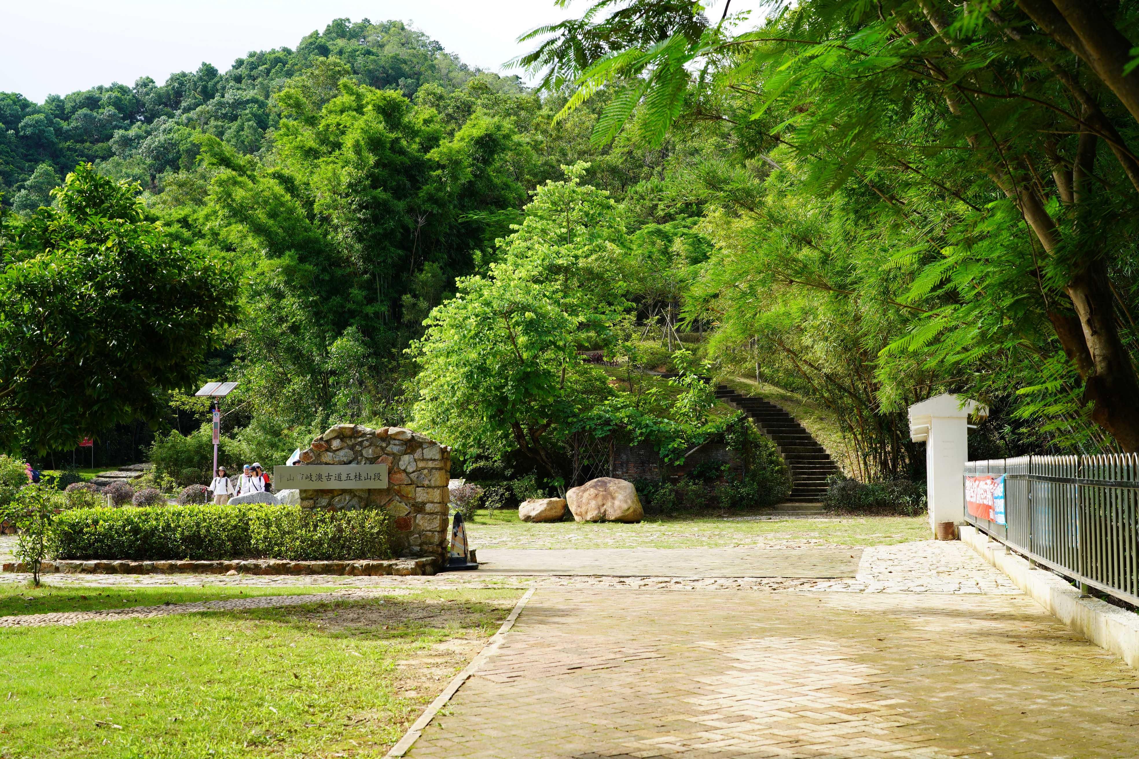 新澳門彩生肖走勢圖，探索與解讀彩票背后的秘密，探索解讀新澳門彩生肖走勢圖，彩票背后的秘密揭秘