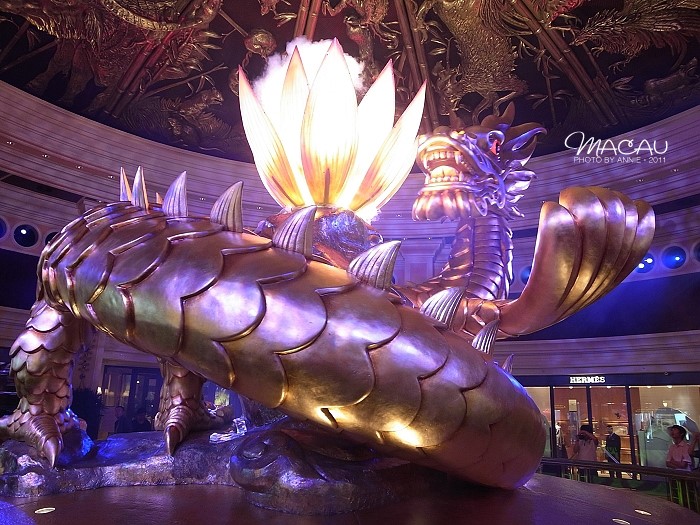 澳門(mén)無(wú)錯(cuò)七尾，探索與解析，澳門(mén)無(wú)錯(cuò)七尾，深度探索與解析
