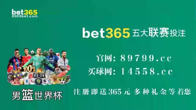王中王中特馬王中王精準(zhǔn)資料解析與SEO優(yōu)化策略探討，王中王中特馬精準(zhǔn)資料解析與SEO策略探討