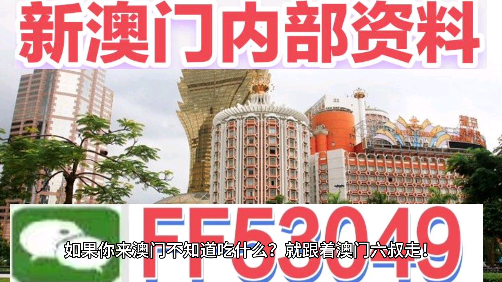 澳門今晚特馬生肖預(yù)測，探尋未來的幸運(yùn)符號（2025年），澳門生肖預(yù)測揭秘，探尋未來幸運(yùn)符號（特馬生肖預(yù)測 2025年展望）