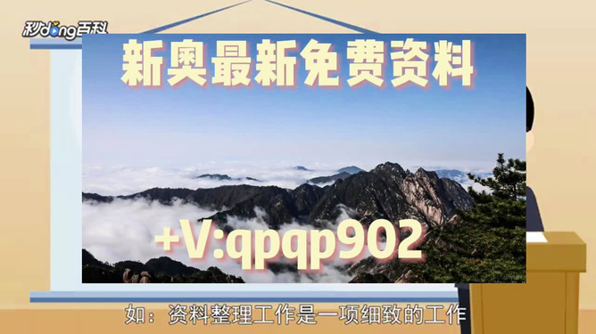 新奧正版資料最新更新 2025年展望，新奧正版資料最新更新，展望2025年