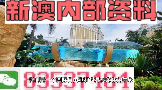 新澳的資料去哪里找——全面指南，新澳資料全攻略，尋找資料的途徑與指南
