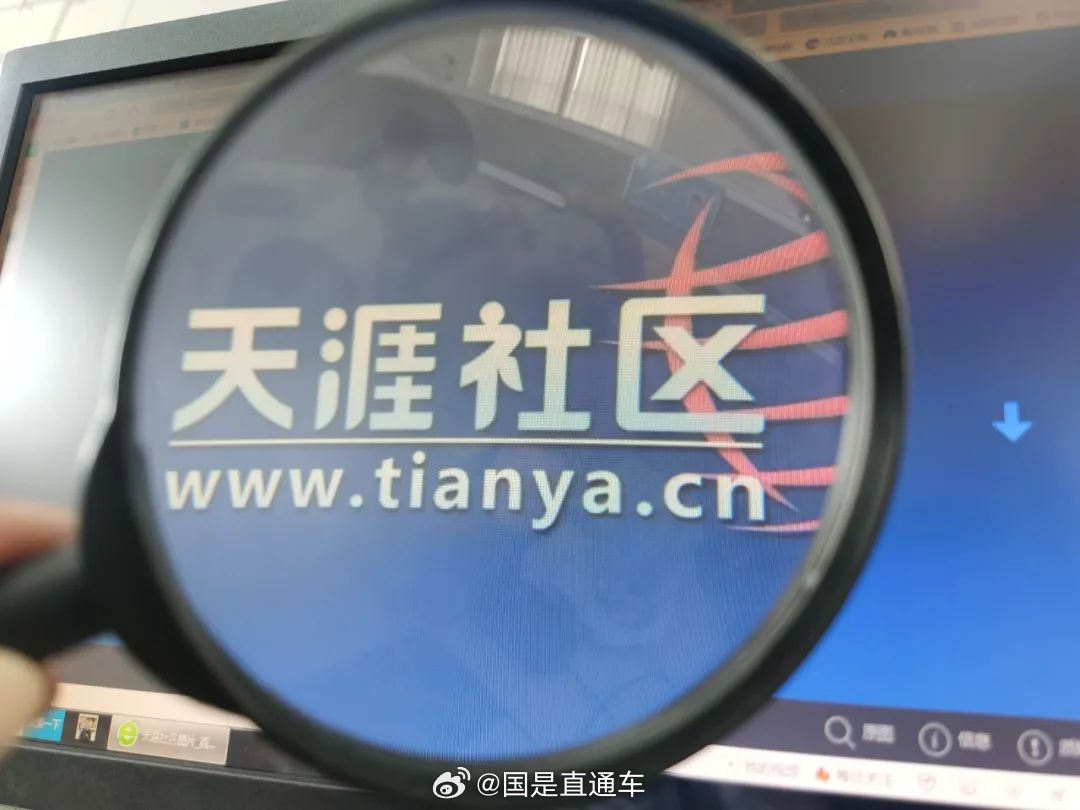 天涯國際觀察，全球視野下的深度分析與洞察，全球深度洞察，天涯國際觀察分析