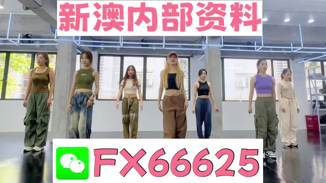 新澳持碼會(huì)資料詳解，新澳持碼會(huì)資料全面解析