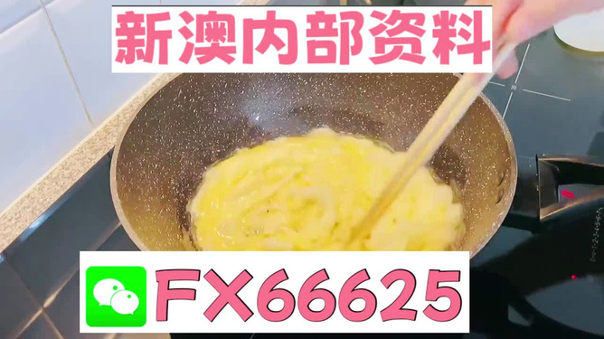 澳門九點(diǎn)半9點(diǎn)半網(wǎng)站——探索與體驗(yàn)，澳門九點(diǎn)半網(wǎng)站，探索與體驗(yàn)之旅