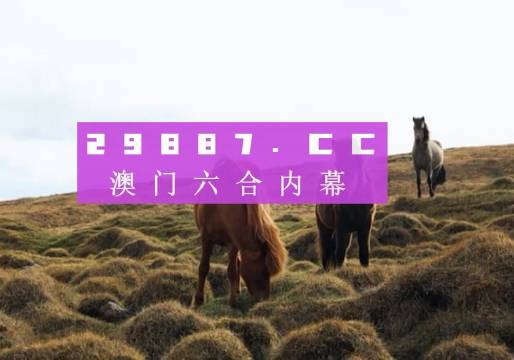 澳門今晚9點35開獎結(jié)果揭曉，揭秘彩票背后的秘密，澳門今晚9點35開獎結(jié)果揭曉，彩票背后的秘密大揭秘