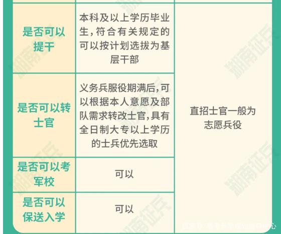 士官直招與義務(wù)兵的區(qū)別，深入了解軍隊招募制度，直招士官與義務(wù)兵招募制度深度解析，軍隊招募制度詳解
