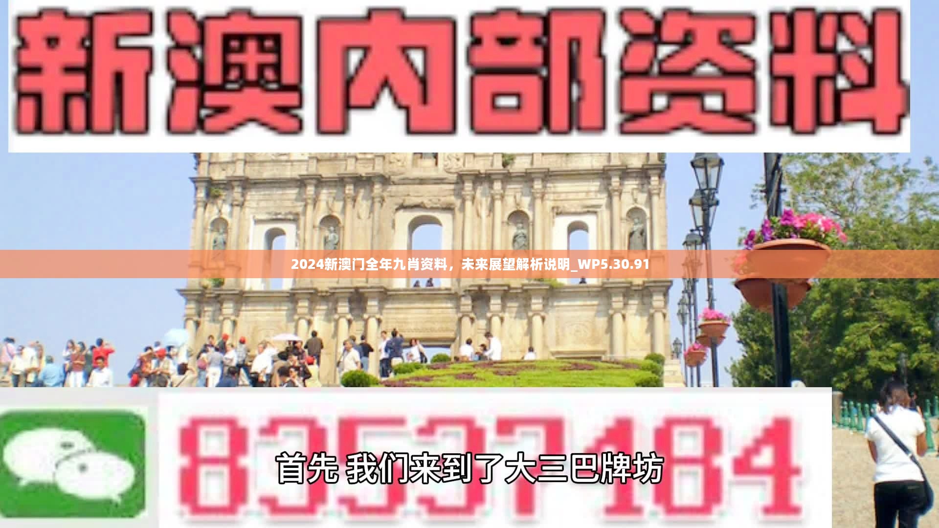 新澳門精準(zhǔn)九肖，揭秘預(yù)測技巧與策略，揭秘新澳門精準(zhǔn)九肖預(yù)測技巧與策略