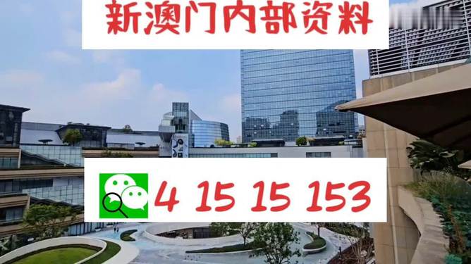 新澳門(mén)單雙，探索數(shù)字世界的奧秘與魅力，澳門(mén)數(shù)字世界的奧秘與魅力探索，單雙數(shù)的奇幻之旅