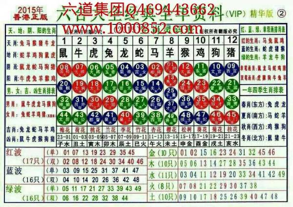 揭秘2024十二生肖49碼表——完整指南，揭秘十二生肖49碼表全攻略，2024年最新版指南