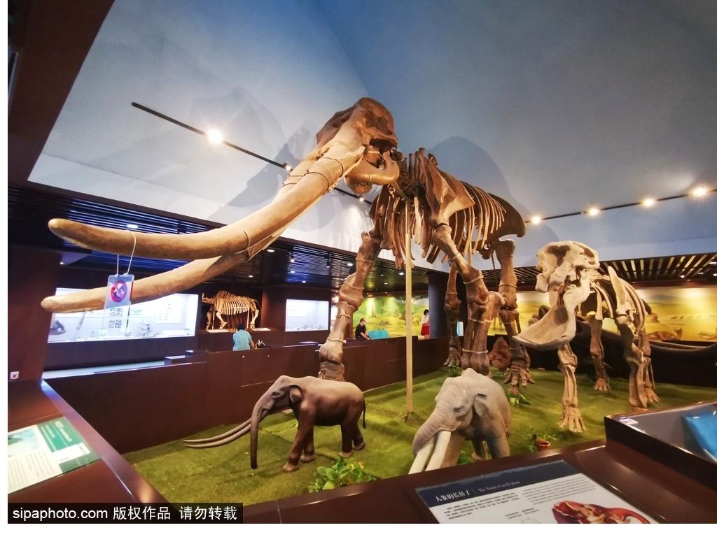 北京必去的十大博物館——探尋千年文化的精華之旅，北京必游十大博物館，千年文化精華之旅探尋記