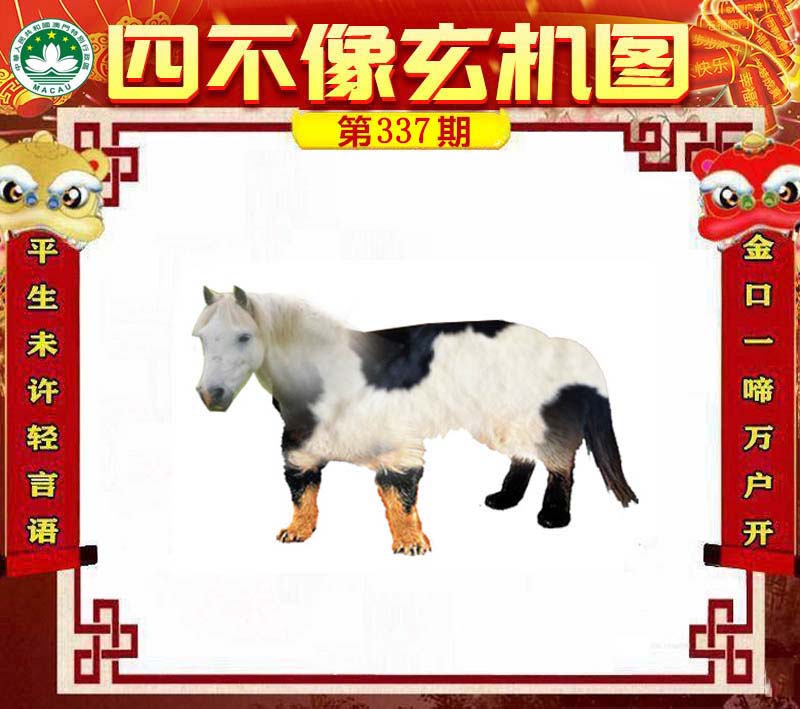 王中王四不像肖一肖中特，探索神秘現(xiàn)象背后的真相，神秘現(xiàn)象背后的真相探索，王中王四不像肖一肖中特揭秘