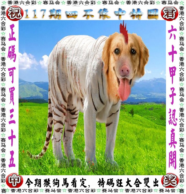 王中王四不像一肖論壇，探索神秘論壇的世界，王中王四不像一肖論壇，神秘論壇世界的探索之旅