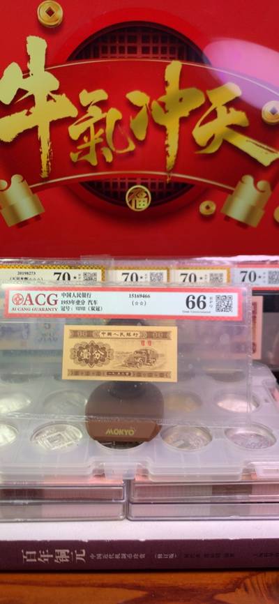 老牌王中王揭秘，公開一肖的神秘面紗，老牌王中王揭秘，揭開神秘生肖的面紗