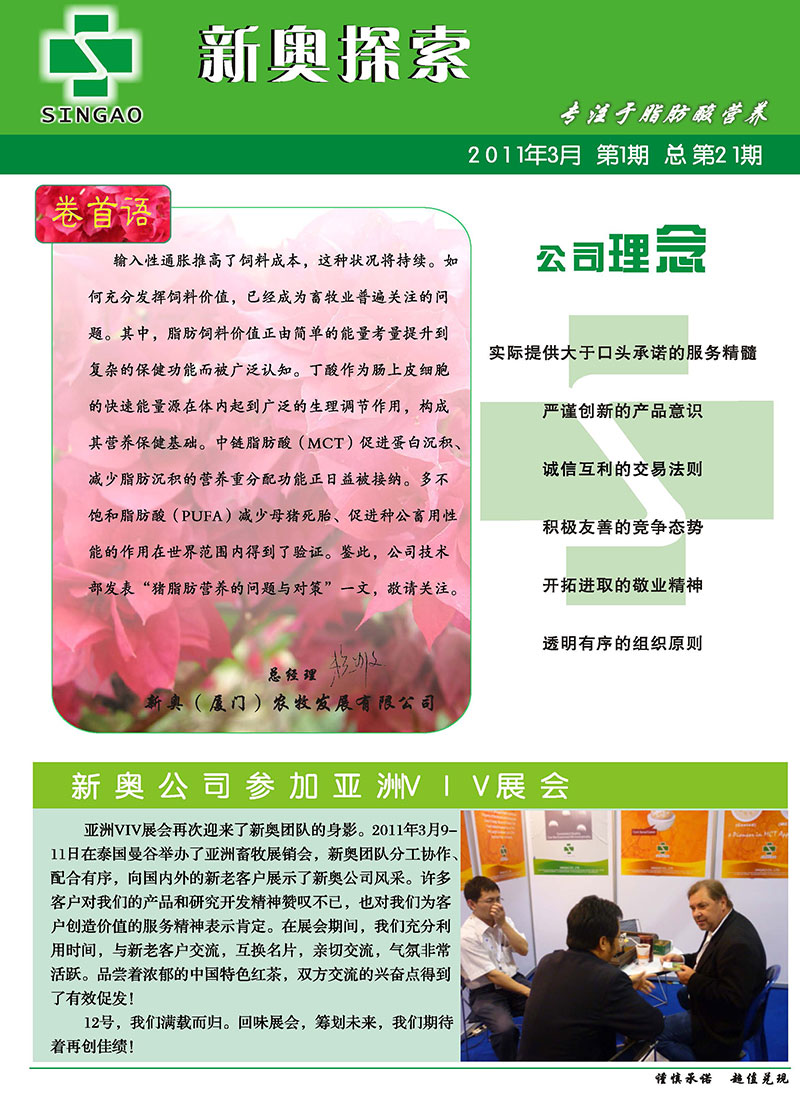 2025新澳正版資料精準(zhǔn)解析與預(yù)測，2025新澳正版資料精準(zhǔn)解析與趨勢預(yù)測