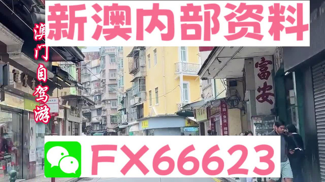 新澳精準資料免費提供，探索與解析，新澳精準資料解析與探索，免費提供的深度解讀