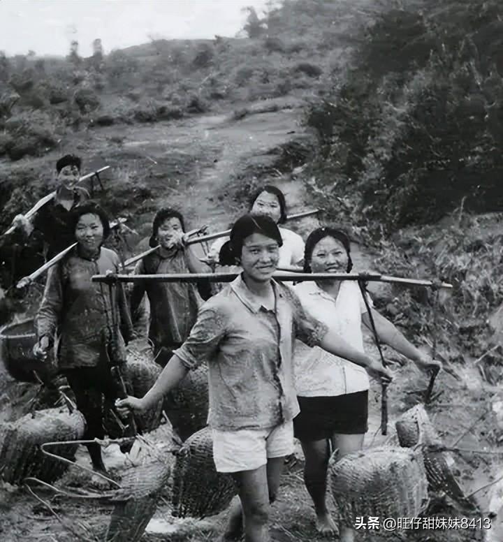 關(guān)于49圖庫圖片資料的專業(yè)解析與探索，49圖庫圖片資料深度解析與探索