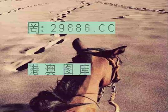 香港特馬資料王中王24期，深度解析與探索，香港特馬資料王中王深度解析與探索，第24期探索之旅