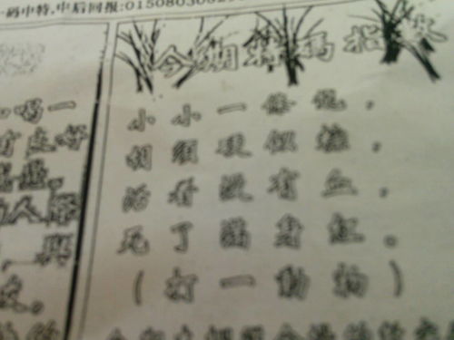揭秘劉伯溫平特一肖圖——探尋神秘預測背后的真相，揭秘劉伯溫平特一肖圖，神秘預測背后的真相探索
