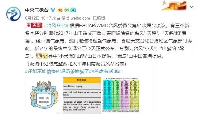 新澳門必中三肖三碼三期必開劉伯，揭秘彩票背后的秘密與策略，揭秘彩票背后的秘密與策略，劉伯的新澳門三期必開三肖三碼預(yù)測技巧