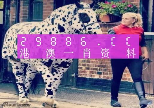 香港網(wǎng)址王中王一肖中特，探索與解析，香港網(wǎng)址王中王一肖中特，深度探索與解析