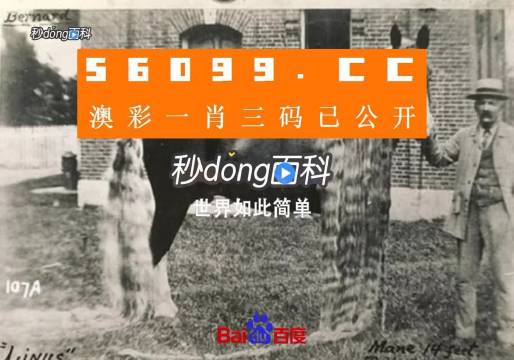 澳門王中王心水王中王，探索與解析，澳門王中王心水奧秘，深度探索與解析
