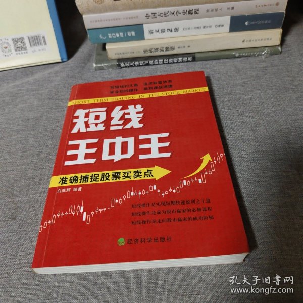 王中王平特一肖中的奧秘與探索，王中王平特一肖的奧秘與探索之旅