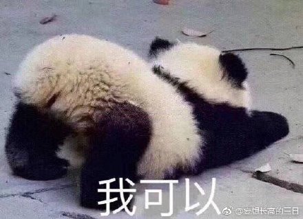 澳門(mén)精準(zhǔn)四不像最新正版，揭秘與探索，澳門(mén)精準(zhǔn)四不像揭秘與探索最新正版資訊