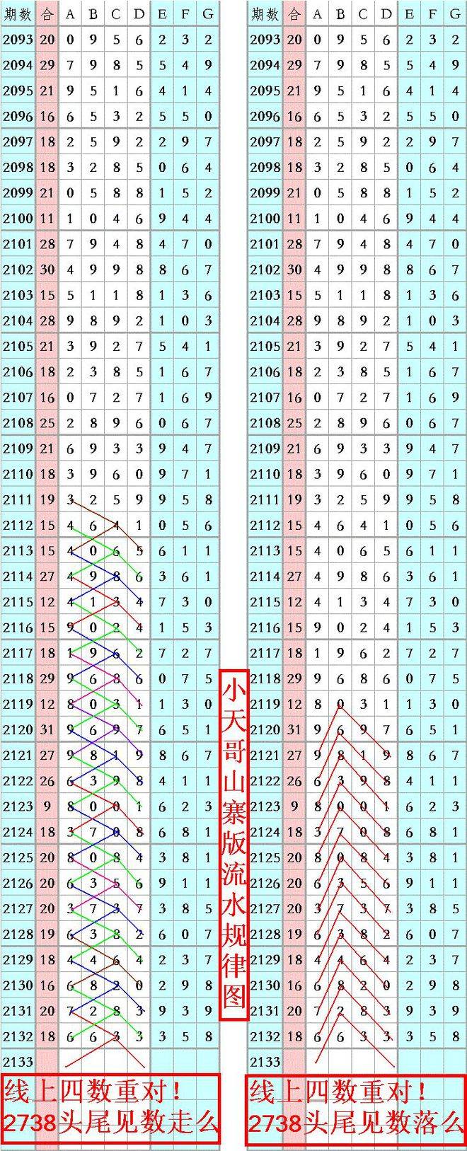王中王精準(zhǔn)六肖6碼資料，探索精準(zhǔn)預(yù)測的魅力，王中王精準(zhǔn)六肖6碼資料，揭秘精準(zhǔn)預(yù)測的魅力