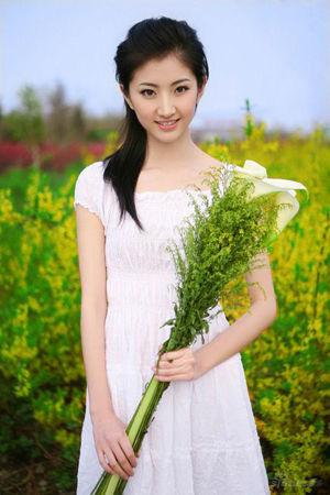 新澳門生肖走勢圖精準版