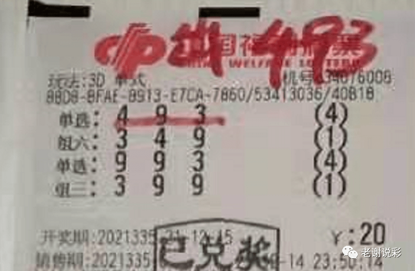 新奧門彩天天開獎資料一網(wǎng)羅萬象，揭秘彩票奧秘，揭秘彩票奧秘，新奧門彩天天開獎資料一網(wǎng)羅萬象