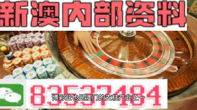 新澳正版資料免費(fèi)提供，全面解析與深度探索，新澳正版資料全面解析與深度探索，免費(fèi)提供的指南