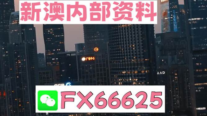 澳門跑狗，探索與解析，澳門跑狗，探索與解析之道