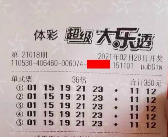 王中王018期指一生肖，揭秘背后的奧秘與意義，揭秘生肖奧秘，王中王生肖背后的意義與秘密