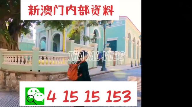 澳門944資料詳解，探索其背后的故事與重要性，澳門944資料深度解析，背后的故事與重要性探索