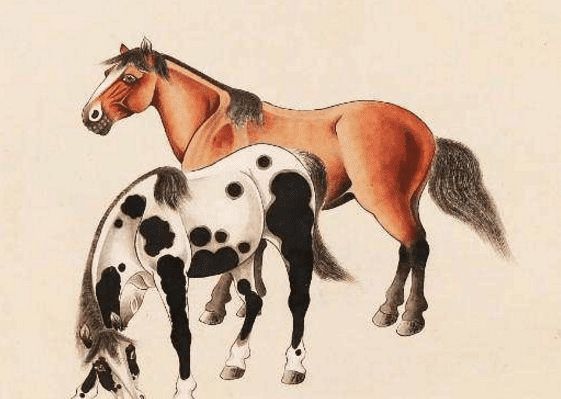 馬一王中王特平一肖圖，深度解析與SEO優(yōu)化策略，深度解析馬一王中王特平肖圖，SEO優(yōu)化策略探討