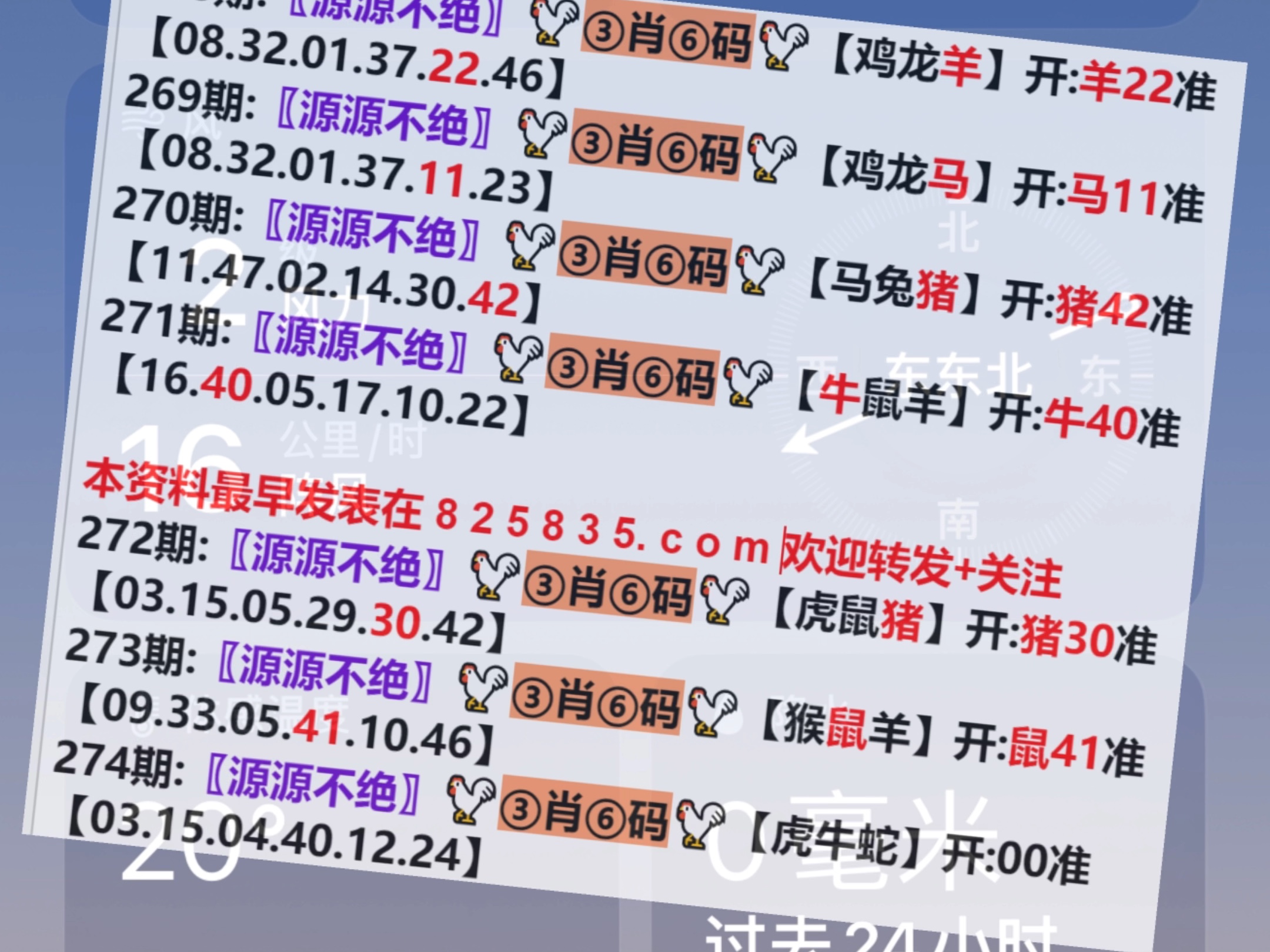 澳門一肖一碼開獎結(jié)果，揭秘彩票背后的秘密，澳門彩票開獎結(jié)果揭秘，一肖一碼背后的秘密