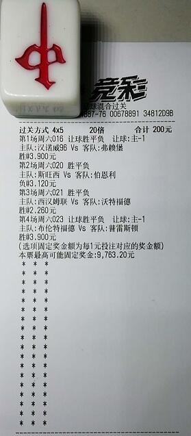 揭秘買一肖中獎(jiǎng)的賠率與風(fēng)險(xiǎn)，你真的準(zhǔn)備好了嗎？，揭秘買一肖中獎(jiǎng)背后的賠率與風(fēng)險(xiǎn)，你真的做好準(zhǔn)備了嗎？