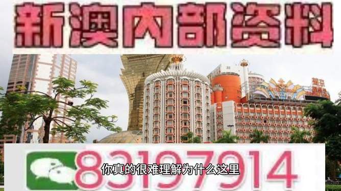 關(guān)于澳門特馬在今晚2025年的預(yù)測與探討，澳門特馬在2025年今晚開獎預(yù)測與探討