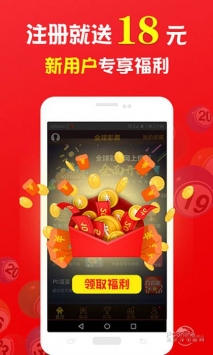 王中王一肖中打一，深度解析一種獨特的文化現(xiàn)象，王中王一肖中打一，獨特文化現(xiàn)象的深度探究
