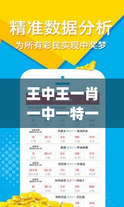 揭秘王中王猜一肖的神秘面紗，揭秘王中王猜一肖的神秘面紗，真相大解密！