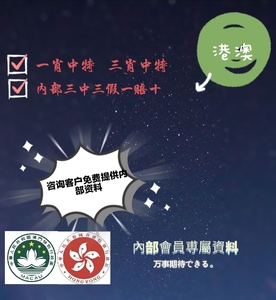 揭秘香港王中王，探尋肖中特背后的秘密，揭秘香港王中王背后的秘密與肖中特真相探索